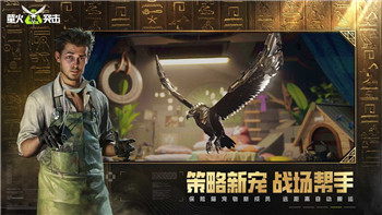奇幻森林岛手游礼包码怎么用不了？原因分析与解决方法全解析