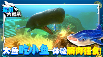 挺进地牢PS4怎么找不到？解决方法及常见问题分析