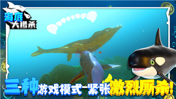 丛林地狱局域网联机如何提升多人合作体验，畅享极限生存挑战