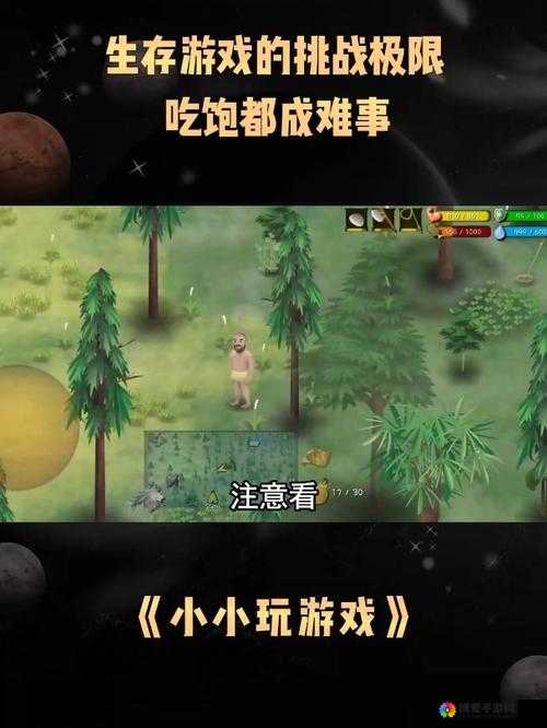 两个人一起玩的生存游戏:挑战极限,携手求生