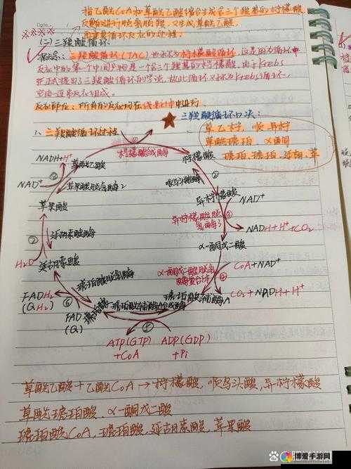 探索如何通过自身方式弄出白色液体的可行途径