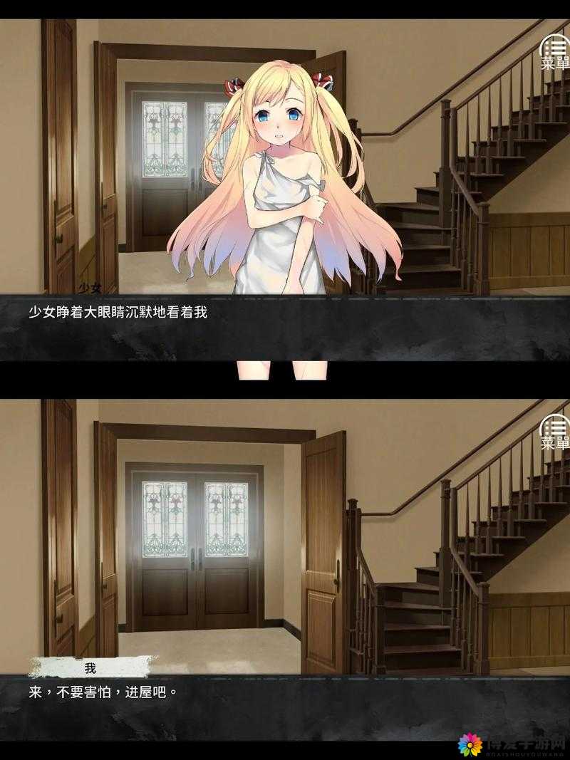 奈的调教日记 V11 ：一段充满挑战与成长的独特历程