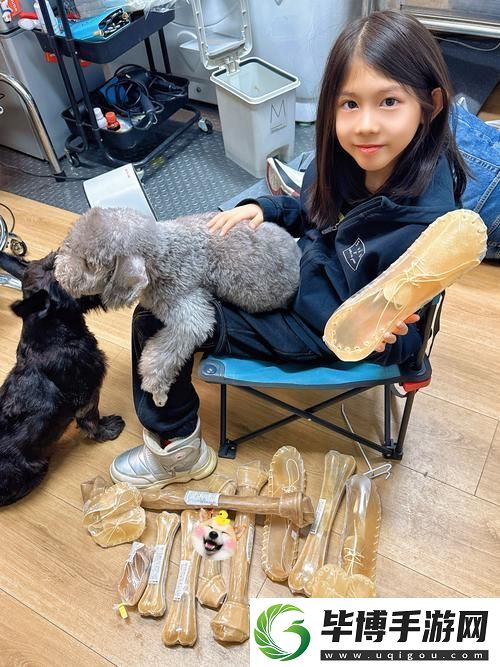 狗和人胶配方20分钟-友感叹：科技改变生活的无限可能游戏玩法 