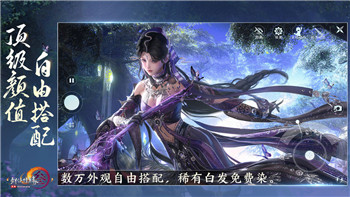 《宝可梦大集结》中月亮伊布技能深度解析与实战攻略