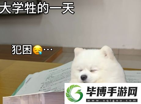 大学牲是什么梗络用语