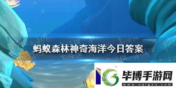 海参有眼睛吗-神奇海洋1月31日答案 
