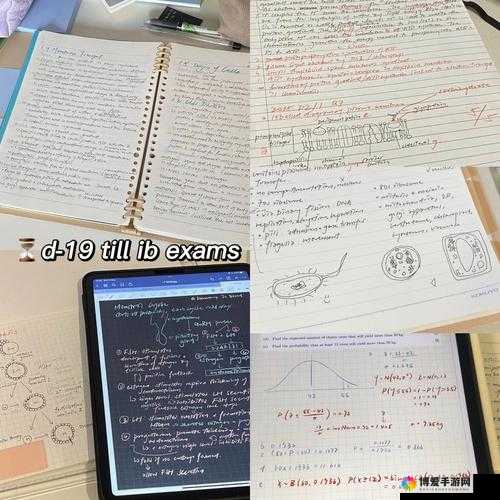 GOGOGO 大但人文艺术观后感：畅享完全免费的艺术之旅