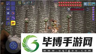柯娜精神之桥买哪个版本的好-全面分析不同版本优劣助你做出明智选择 