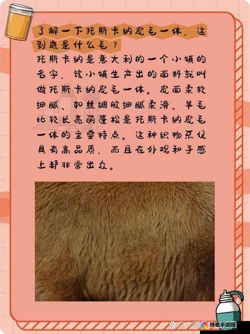 大毛毛在网络用语中究竟代表什么含义呢