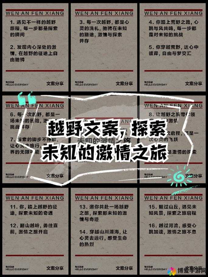 九一插插插：探索未知的激情之旅