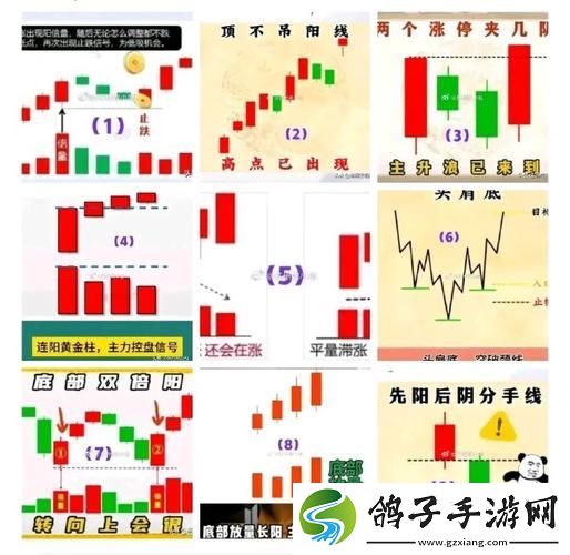 华区二区区别88888金三角-网友：这真是个好定位